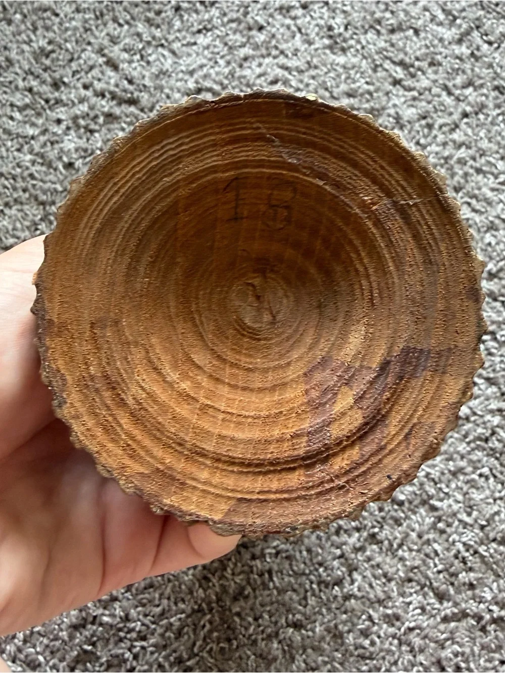 Vintage Hand Carved Wooden Vase Floral Decor 12”